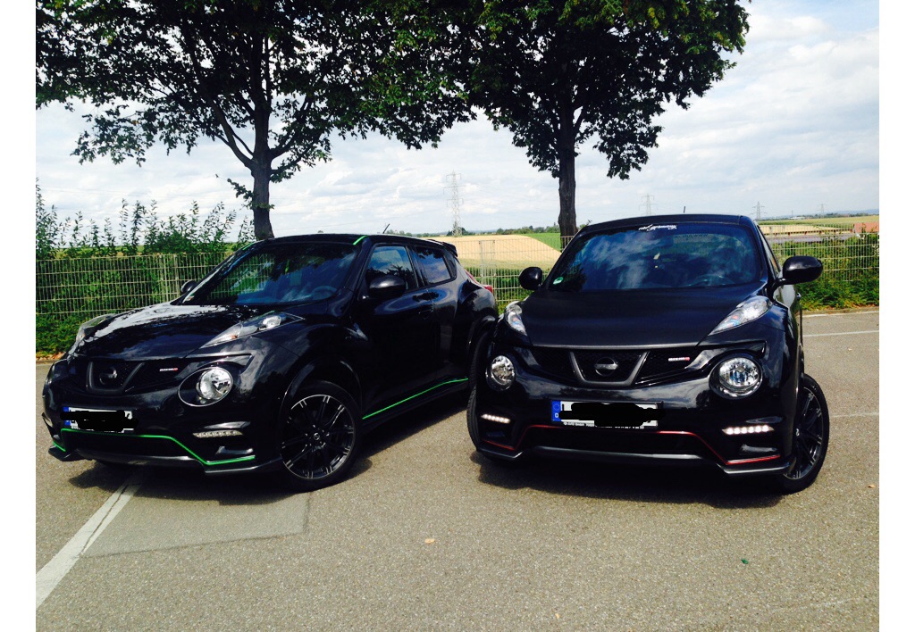 Mini Godzilla mit seinem homie